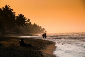 Silhouettes of people walking on the sandy beach of Hikkaduwa at sunset, surrounded by palm trees and ocean waves.